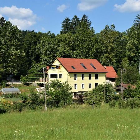 Apartmaji Maln Dolenjske Toplice Buitenkant foto