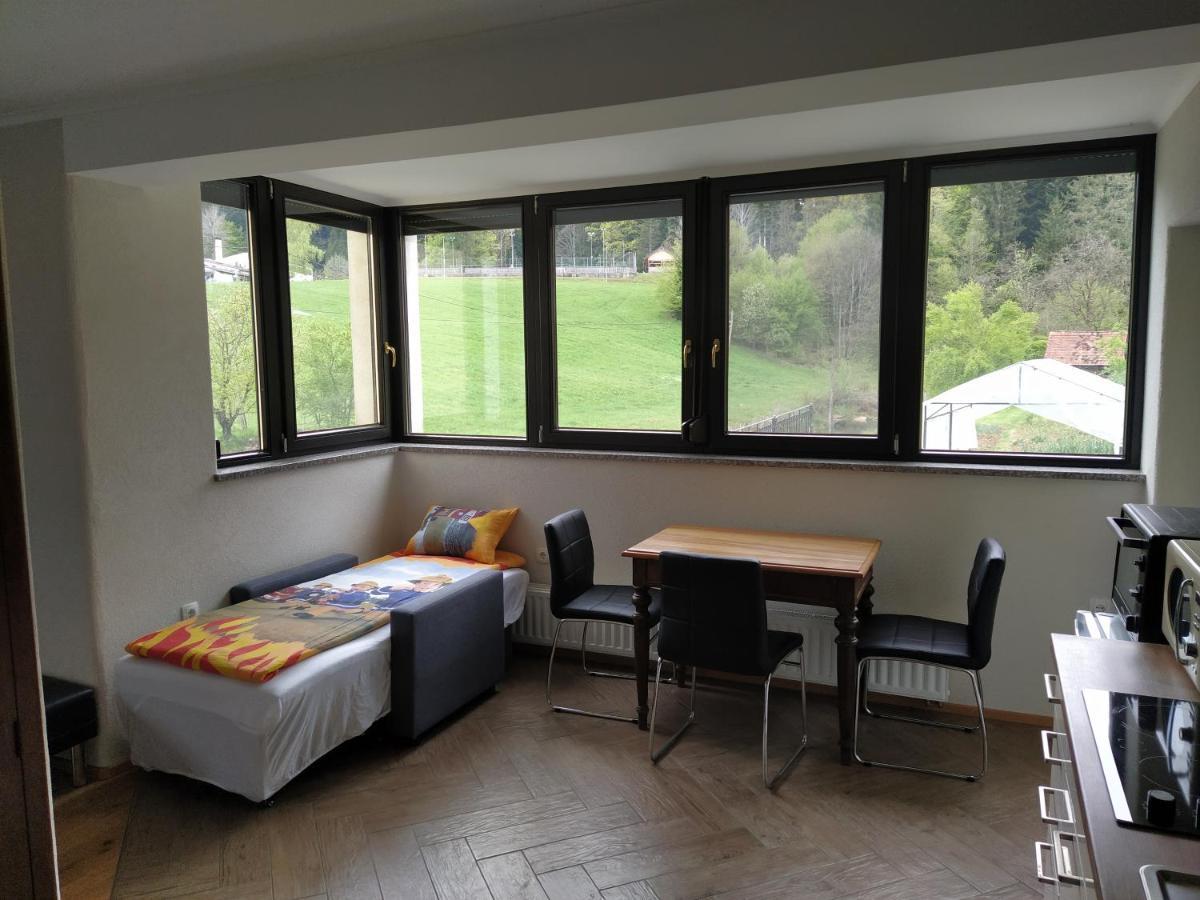 Apartmaji Maln Dolenjske Toplice Buitenkant foto